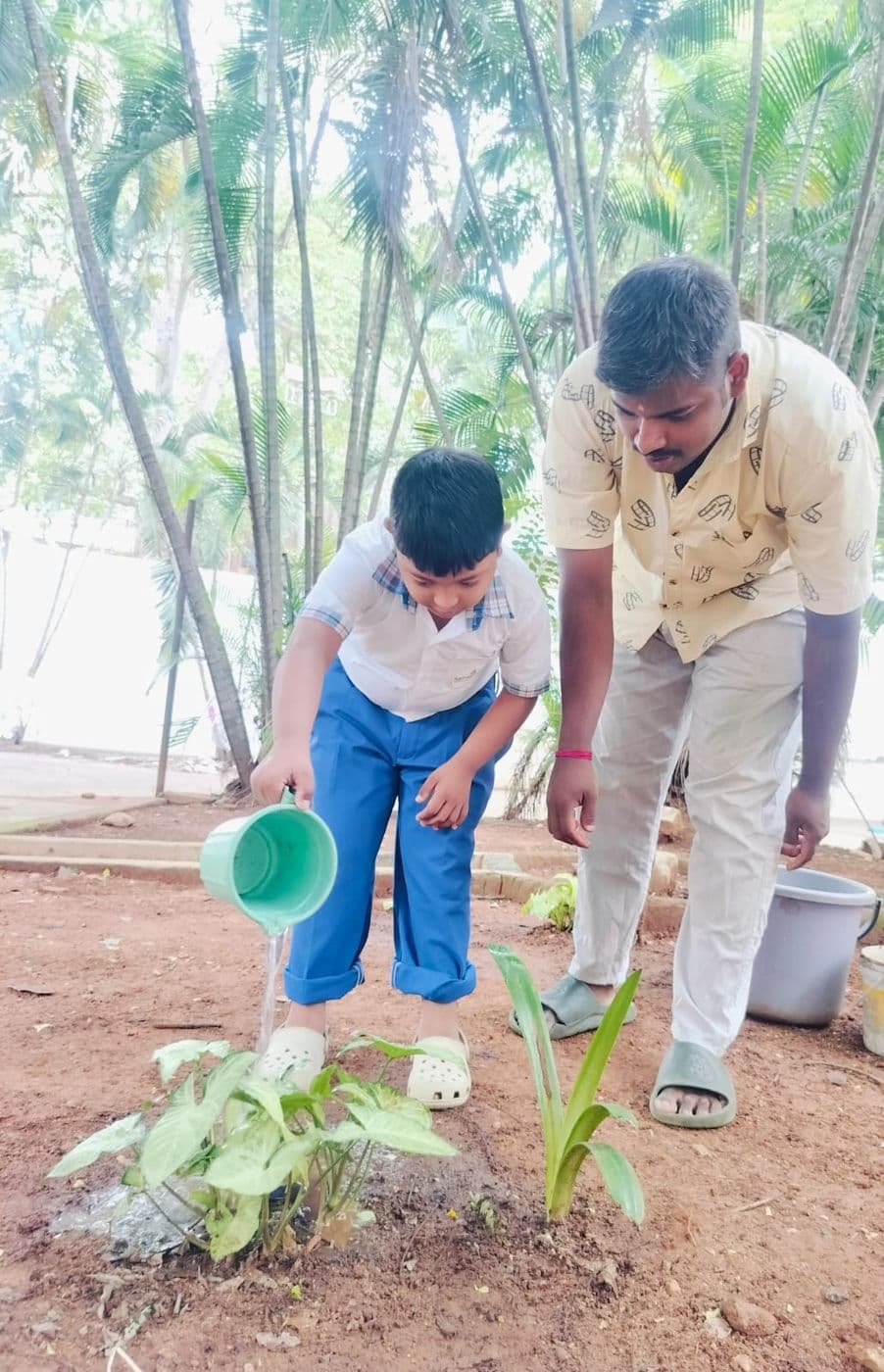 Watering plants, gardening practice
