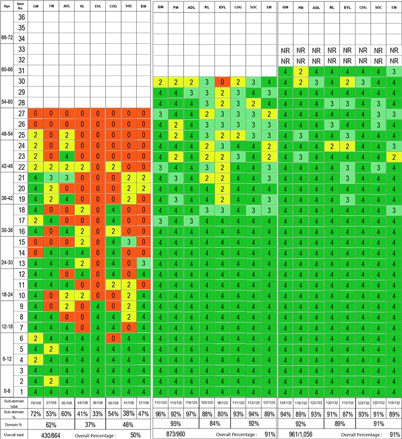 Development checklist showing scores across the eight domains for each age band
